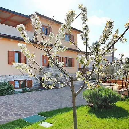 Iris - Cis01281-eyd Daire